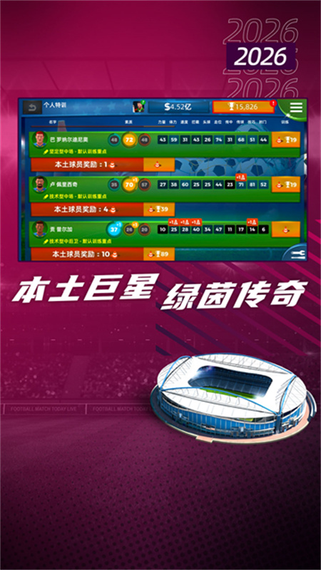 梦幻足球世界汉化版截图3
