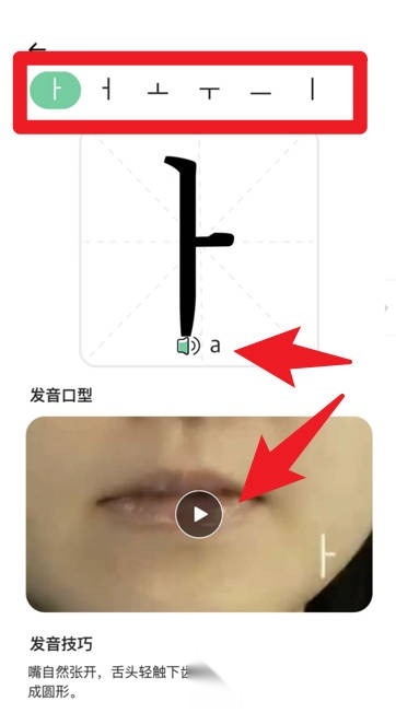 芥末韩语最新版