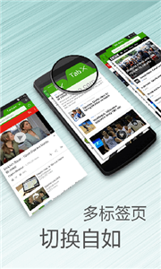 海豚浏览器flash版本