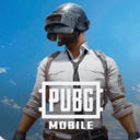 pubg版
