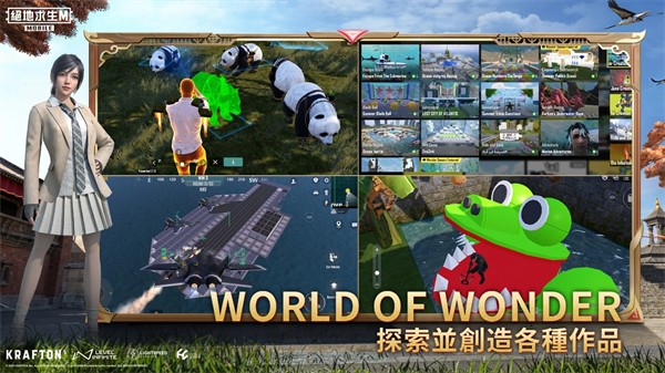 pubg截图1