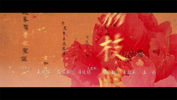 全网影视