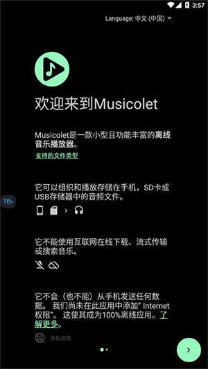 Musicolet安卓版截图2