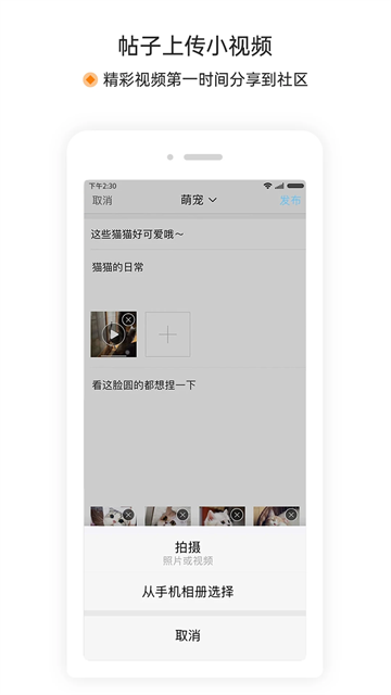 萧内网截图0