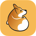 corgi软件