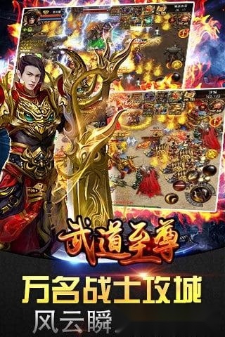 武道至尊游戏安卓版截图2