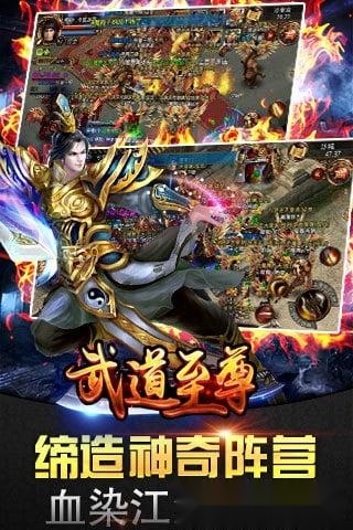 武道至尊游戏安卓版截图3