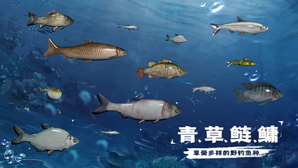 天天钓鱼最新版截图0