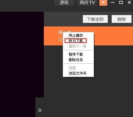 风行播放器电脑版最新版本