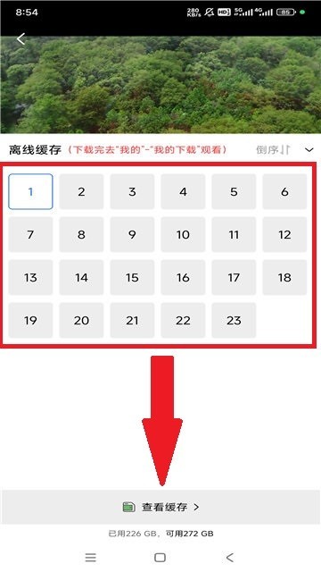 白云视频
