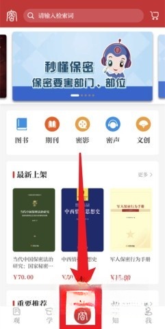 保密观