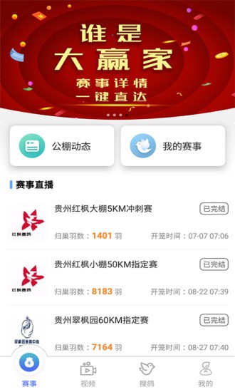 赛鸽助手软件