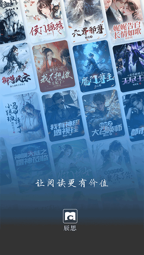 辰思小说截图4