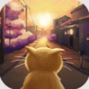流浪的橘猫侠