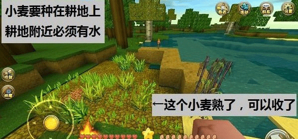 迷你世界正版