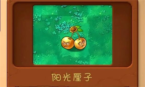 植物大战僵尸共生版