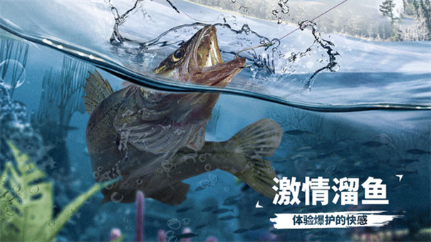 天天钓鱼截图0