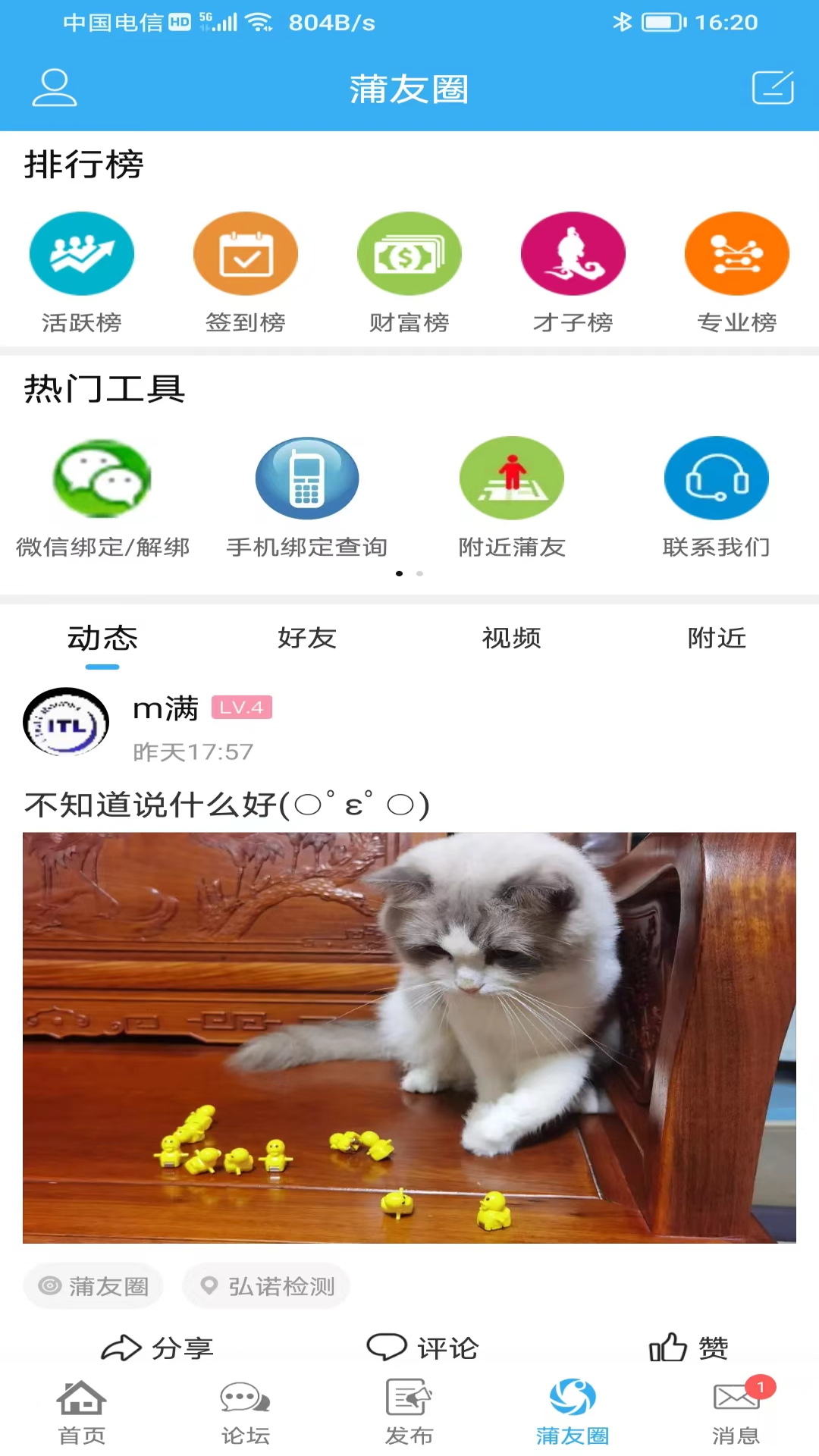 蒲公英最新版截图2