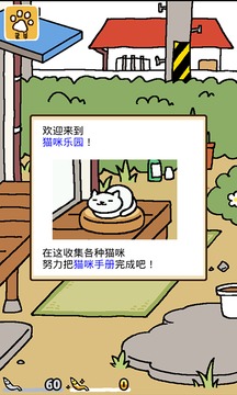 猫咪后院截图0