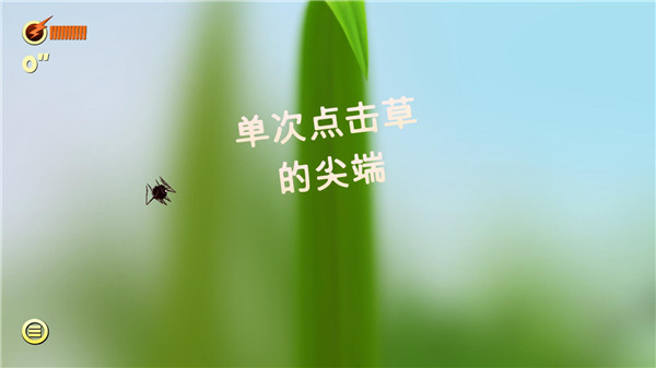 蜘蛛冒险