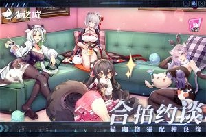 猫之城最新版截图2