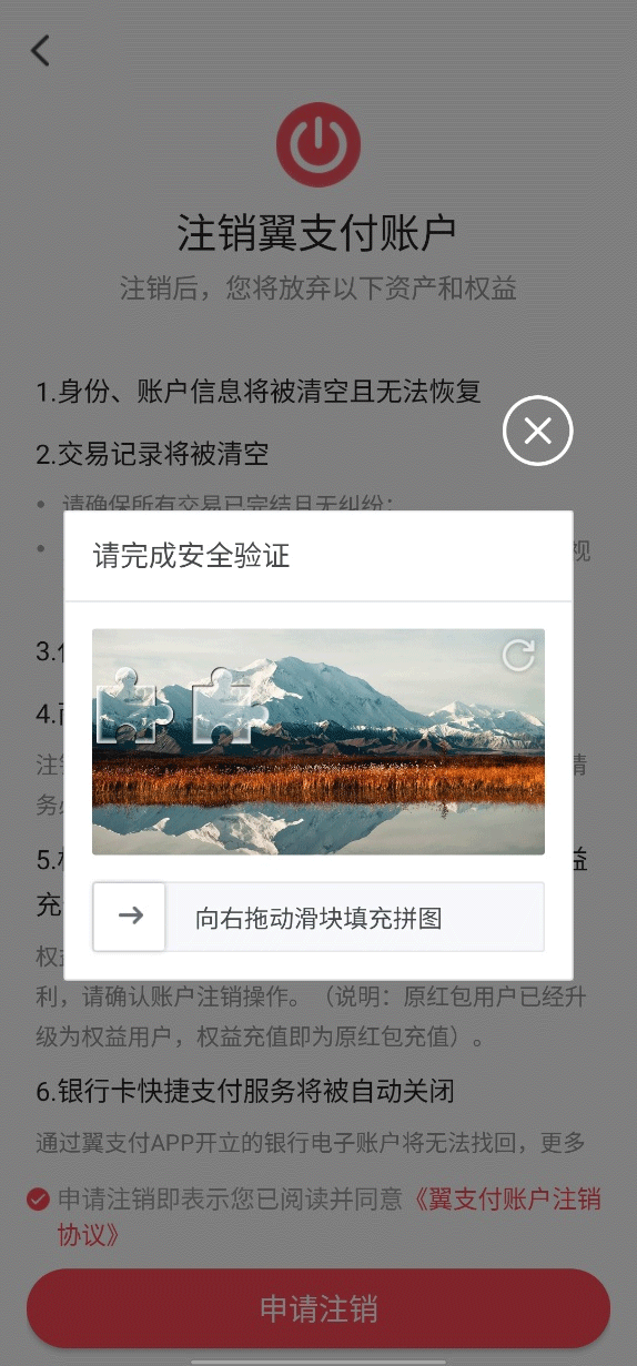 翼支付