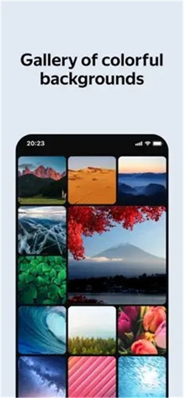 俄罗斯引擎浏览器手机版截图2