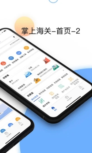 掌上海关最新版截图1