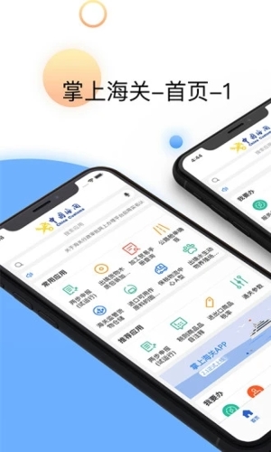 掌上海关最新版截图0