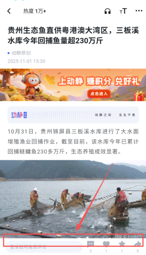 动静新闻