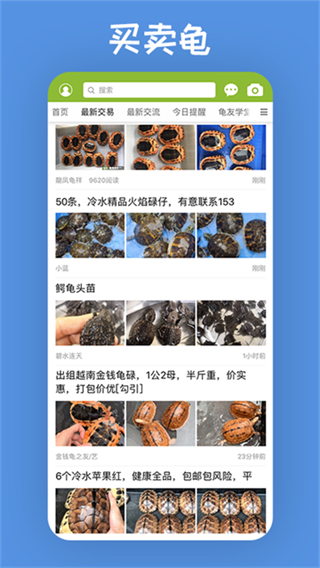龟友天下截图0