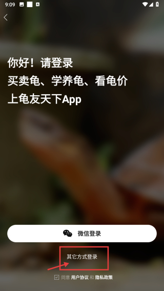 龟友天下