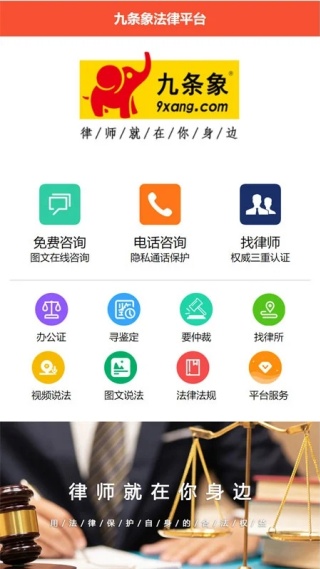 九条象
