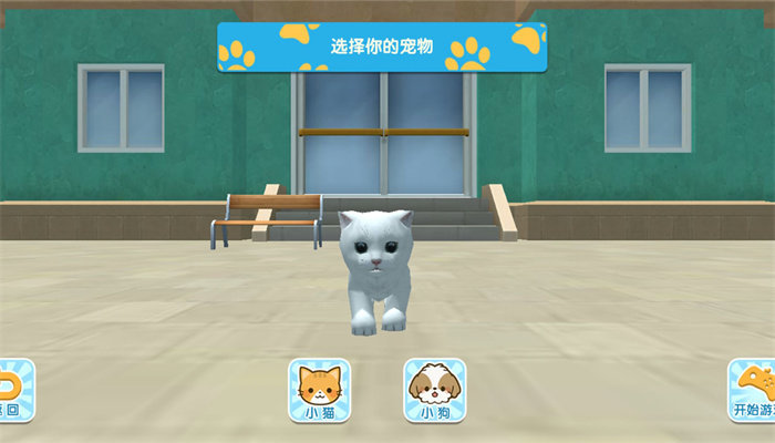 猫咪和奶奶的世界