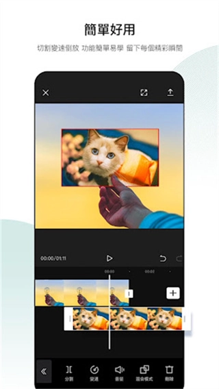 CapCut