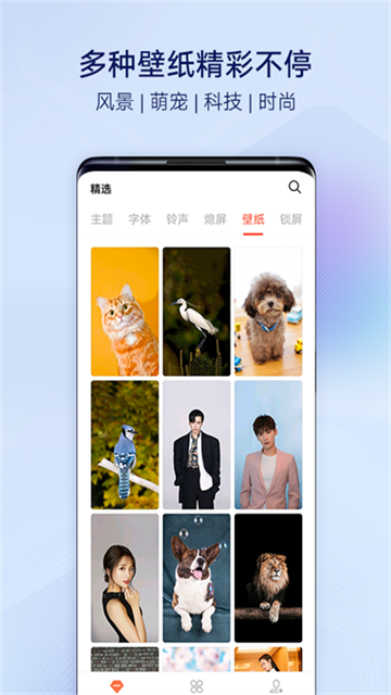 vivo主题商店绿色版截图1