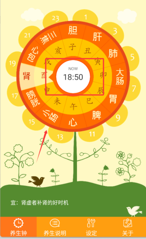 十二时辰经络养生钟