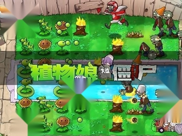 植物娘大战僵尸