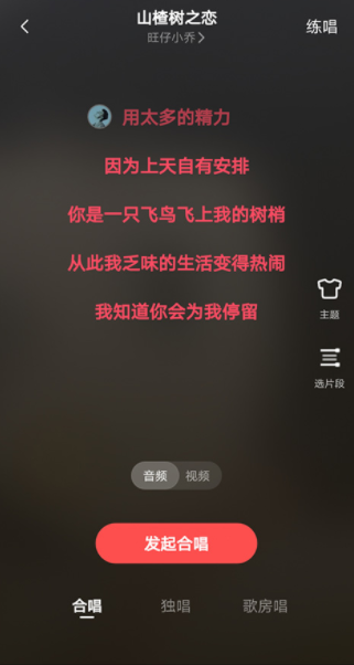 全民k歌极速版