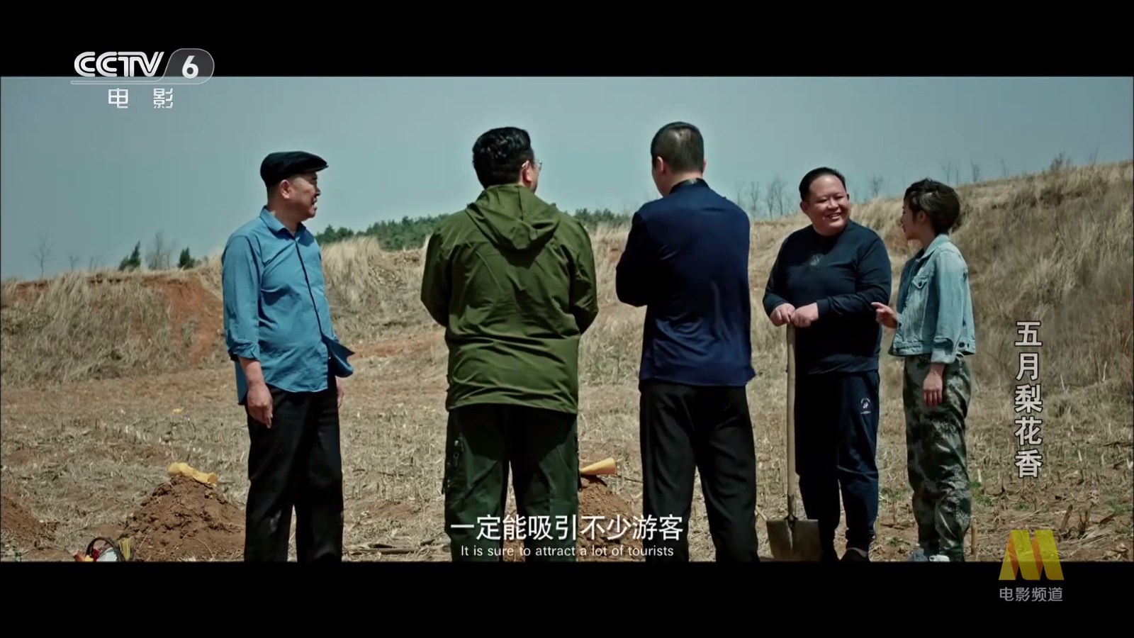 网络电视TV版截图1