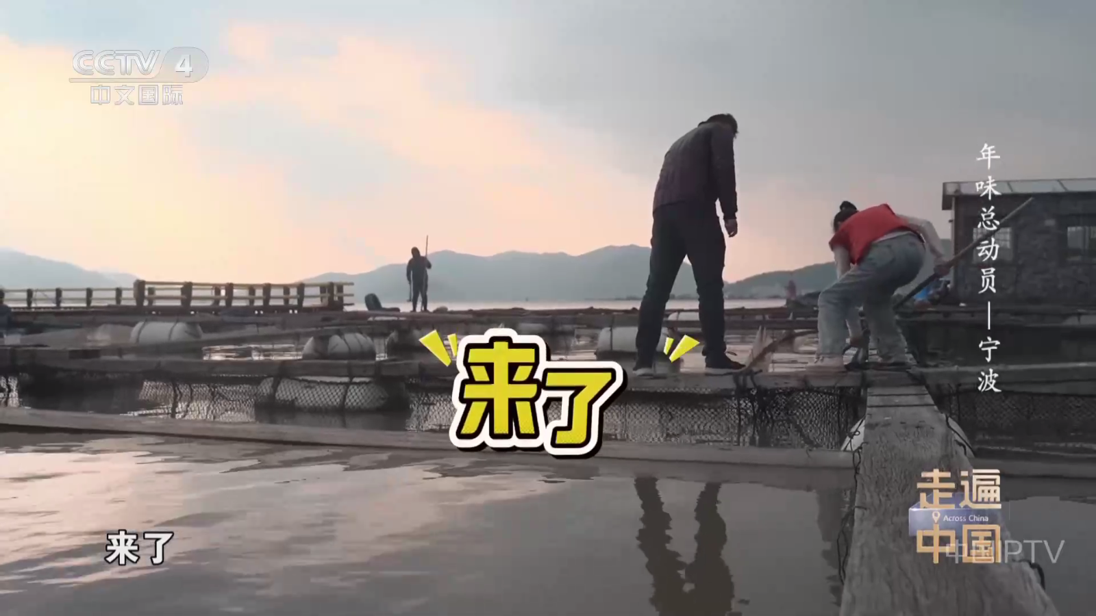 网络电视TV版