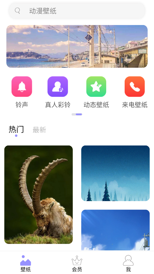 手机壁纸大师