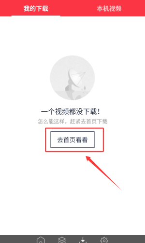 海豚动态壁纸