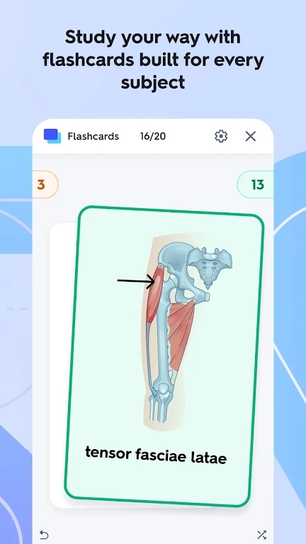 Quizlet英语免费  最新版截图1