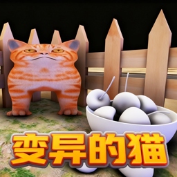 投喂猫咪模拟