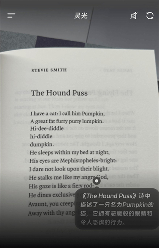 灵光