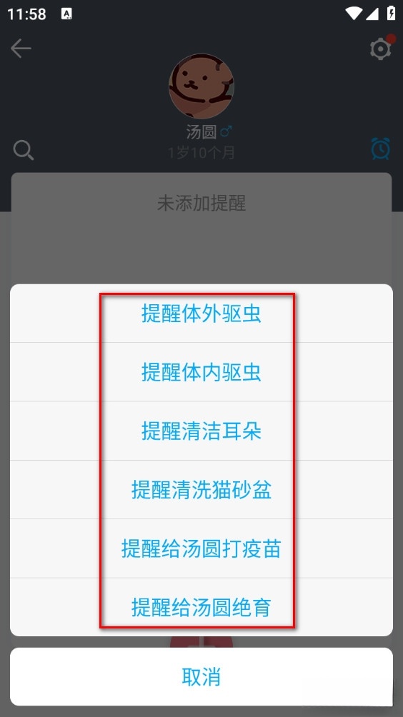 猫咪成长记最新版