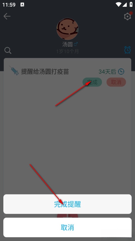 猫咪成长记最新版