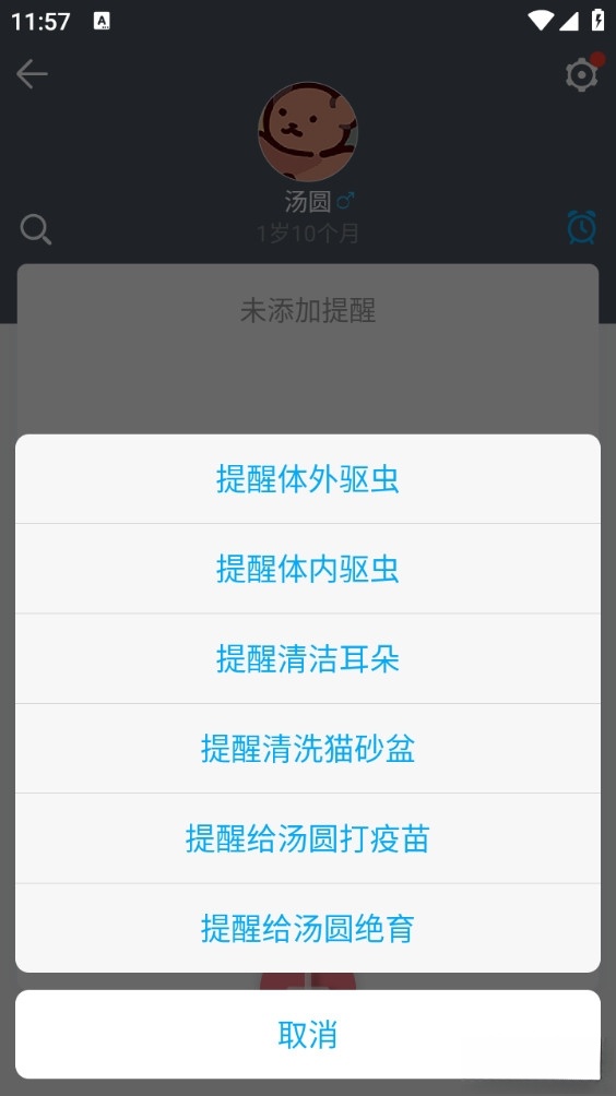猫咪成长记最新版截图3