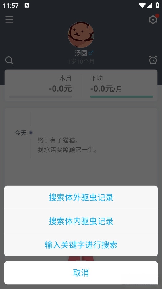 猫咪成长记最新版截图1